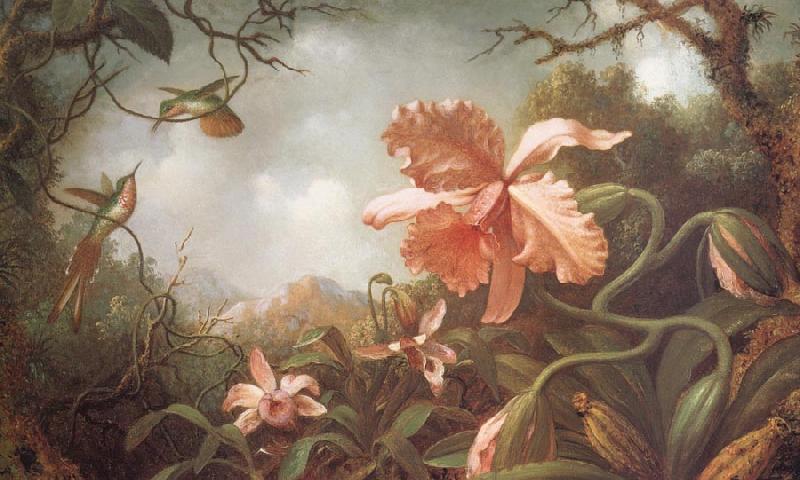 Martin Johnson Heade The Hummingbirds and Two Varieties of Orchids France oil painting art